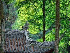 -凤栖山