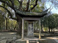 -兰亭风景区