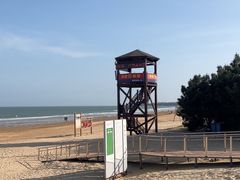-日照海滨国家森林公园