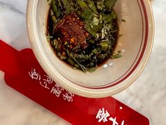 -极乐小煮·成都冒菜(科技绿洲店)