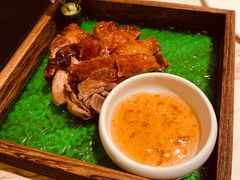 -汤城·料青山