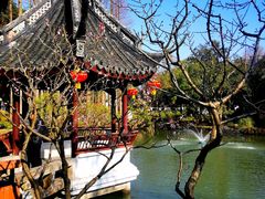-上海醉白池公园