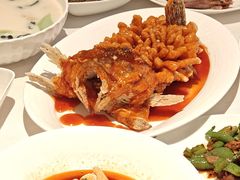 -洋洋中餐馆·SINCE 1997(信投店)