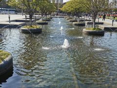 -白塘生态植物园