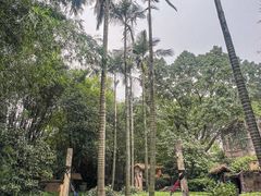 -天赐温泉