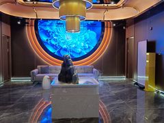 -臻享足道·HIFI影院足疗·泡浴SPA(成华店)