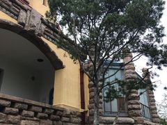-青岛德国总督楼旧址博物馆