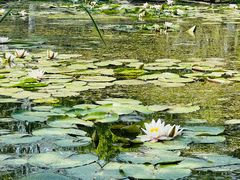 -永定河休闲森林公园