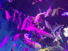 -沈阳海洋探索中心