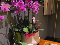 -恒记饭店·海鲜明档(淹城店)