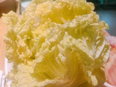娃娃菜-鲜货俚鲜火锅(青果路店)