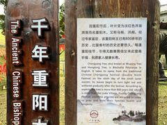 -蔡家宅