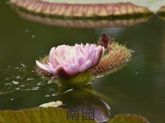 -国家植物园南园
