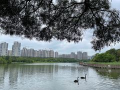 -五缘湾湿地公园