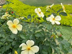 -牛岗山公园