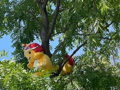 -秦皇岛乐岛海洋王国