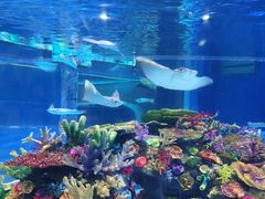 -成都浩海立方海洋公园