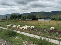 -新疆那拉提国家旅游度假区