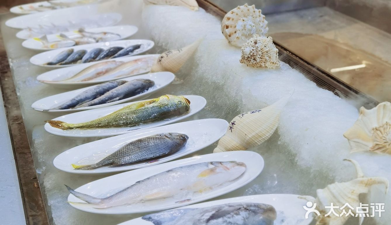 🆕新店速递 | 大嶝海鲜居然开到市区了‼️
