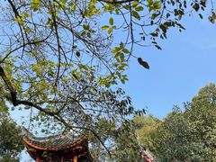 -涂山寺素食餐厅