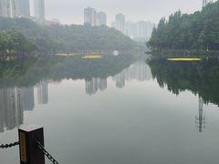 -重庆彩云湖湿地公园
