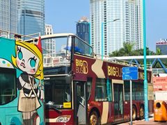 -Big Bus Tours 敞篷观光巴士