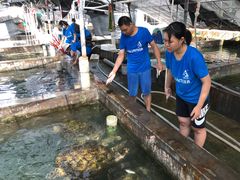 -广东惠东海龟国家级自然保护区