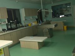 -北京观赏动物医院·24小时大型综合·猫专科·异宠专科