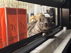 -25#COFFEE(古地石店)