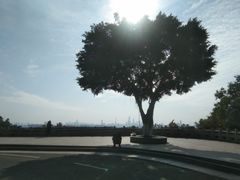 -火炉山森林公园