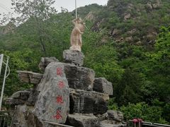 -大岭沟猕猴桃谷风景区