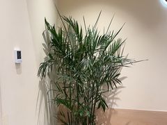 -DQ·蛋糕·冰淇淋(苏州中心店)