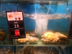 水产区-苏大嘴海鲜牧场(奥林匹克店)