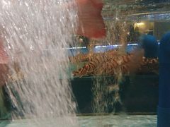 -阿伟海鲜楼·福建菜(延寿店)