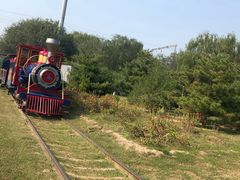 -永定河休闲森林公园