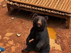 -昆明动物园