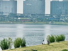 -北龙湖湿地公园
