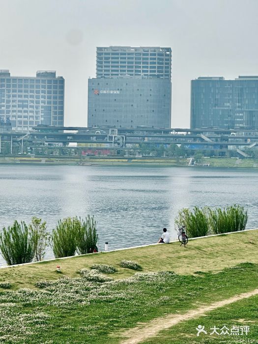 北龙湖湿地公园图片