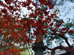 -普陀山风景名胜区-法雨禅寺