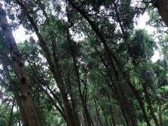 -金堂县云顶石城风景区