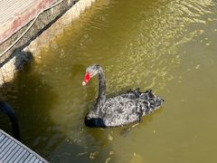 -龙熙维景国际会议中心