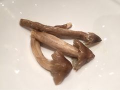 iphone_upload_pic-鲍国演义(禅城店)