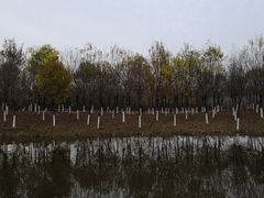 -东郊湿地公园