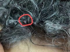 -帕帕拉兹宠物(亚洲旗舰店)