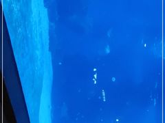 -石家庄海洋公园