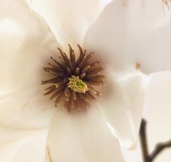 -今日陶艺(富力广场店)