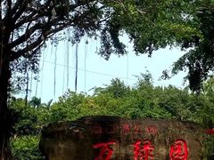 -万绿园