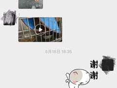 -贝利宠物医院·骨科·眼科·肿瘤转诊中心(南坪诊疗中心)