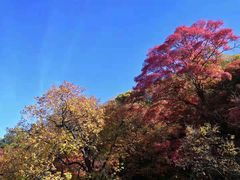 -少华山国家森林公园