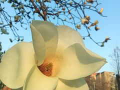 -大连理工大学(凌水校区)
